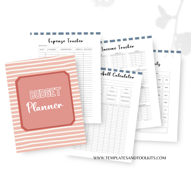 TNT BUDGET PLANNER (1) budget planner