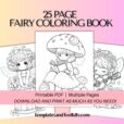 25 Page Fairy Coloring Book